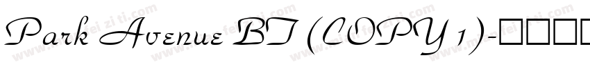 Park Avenue BT (COPY 1)字体转换